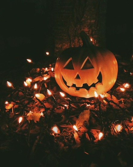 Do you know any cursed pumpkin facts?. I love pumpkins